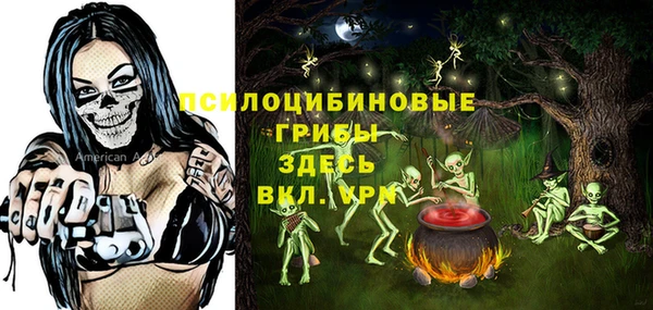 прущий лед Заводоуковск