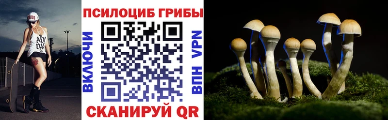 Галлюциногенные грибы GOLDEN TEACHER  кракен tor  darknet наркотические препараты  Муравленко 